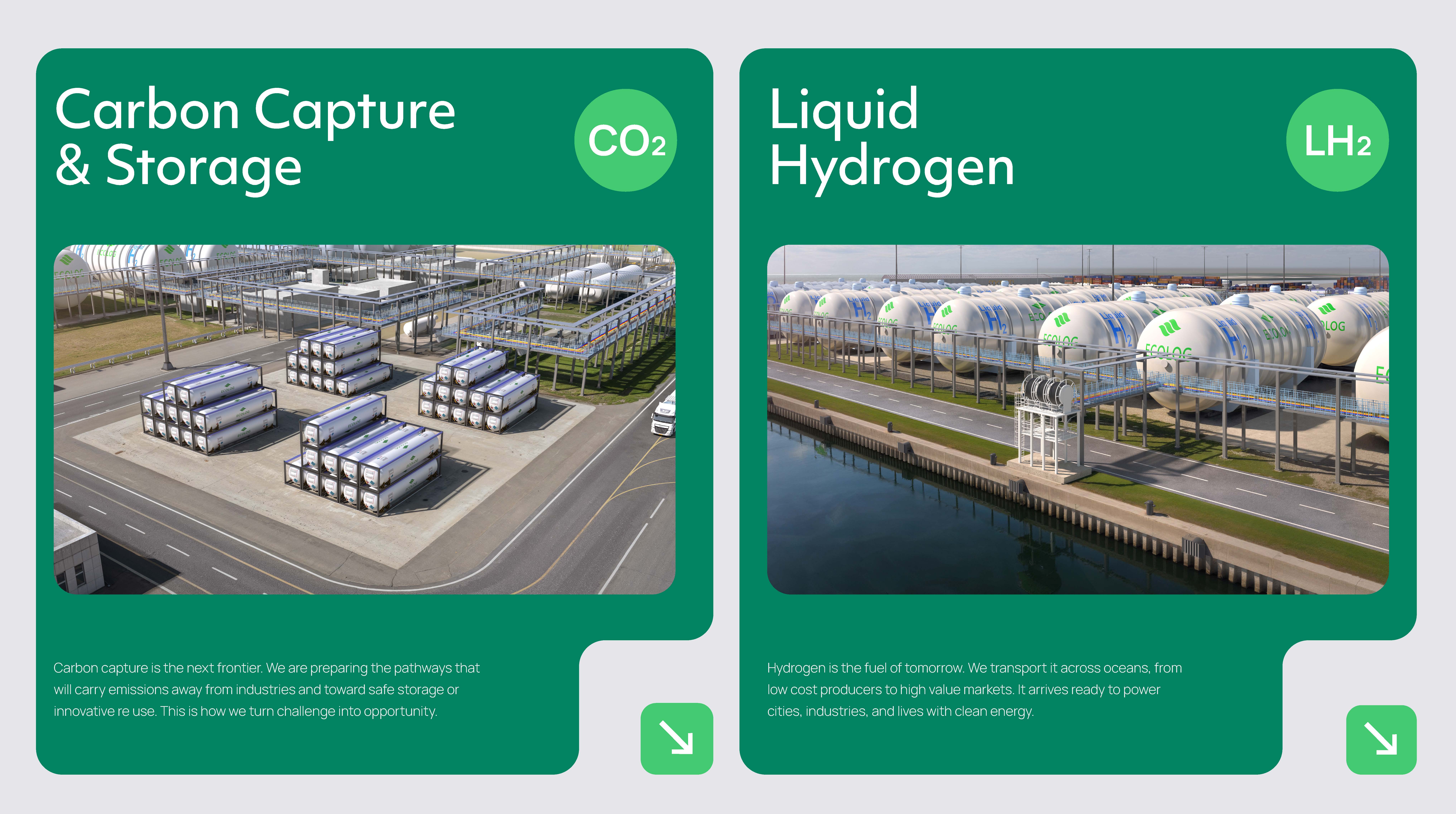 Ecolog brand identity by Ruler
