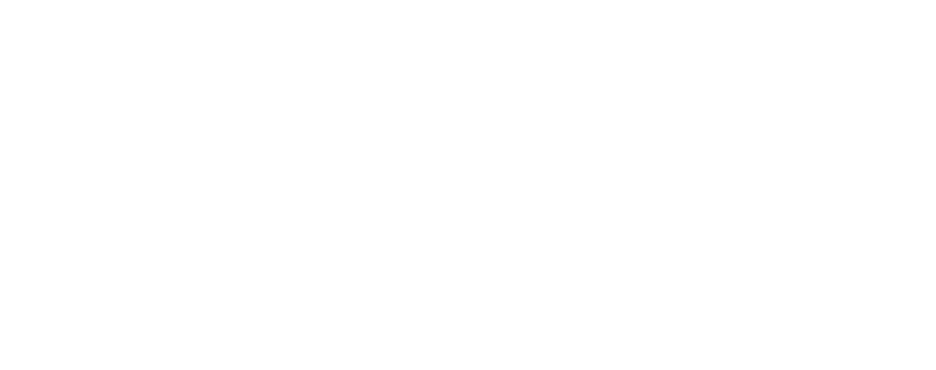 12 Capital Link